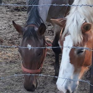 Meet your Posher, Jim kim